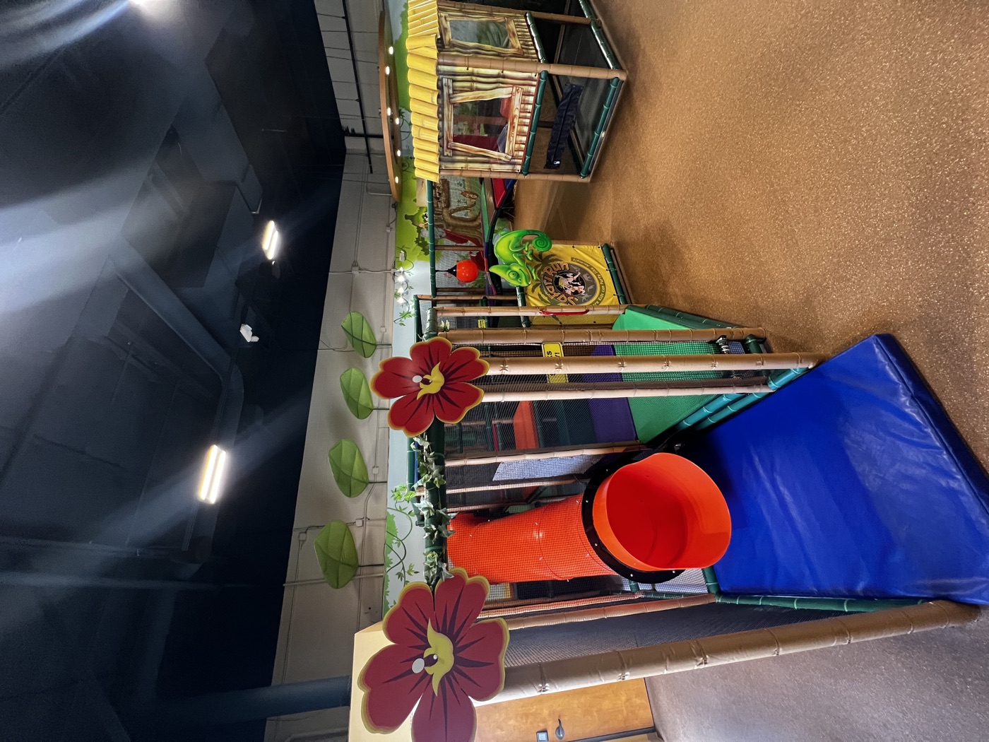 Little Cubs zone